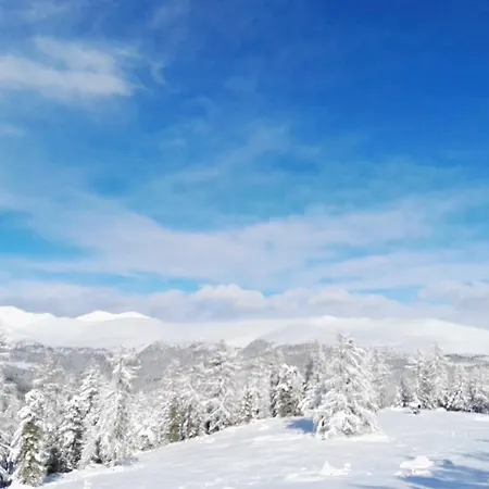 Almhaus Pleschinhof *